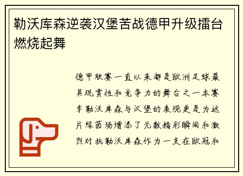 勒沃库森逆袭汉堡苦战德甲升级擂台燃烧起舞